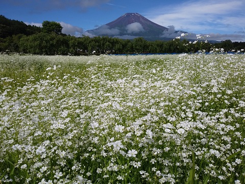 2018/06/30の写真