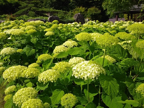 2018/06/30の写真