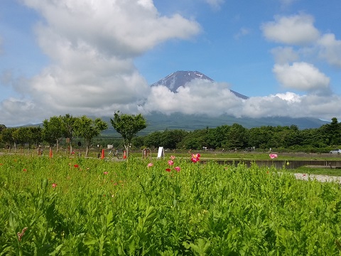 2018/07/01の写真