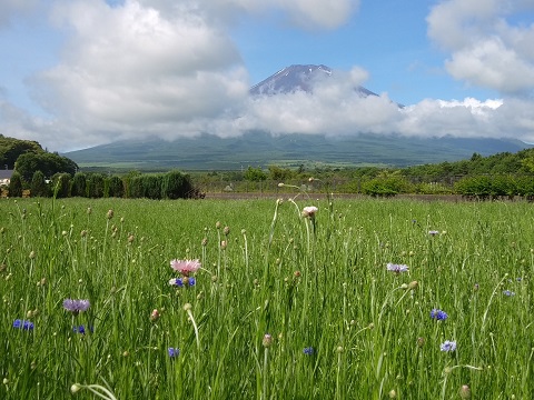 2018/07/01の写真