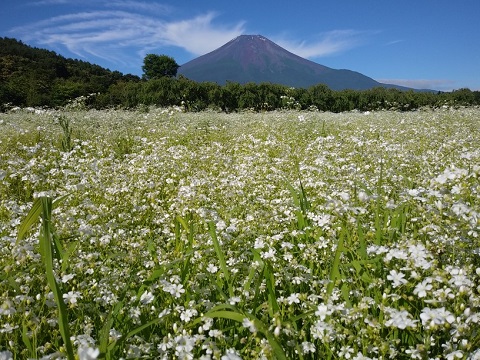 2018/07/02の写真