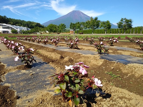 2018/07/02の写真