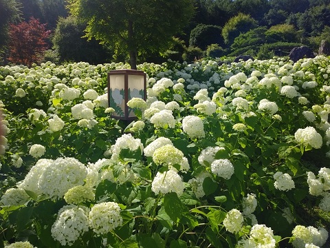 2018/07/10の写真