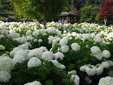 2018/07/16の写真