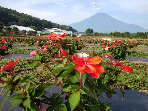 2018/07/16の写真