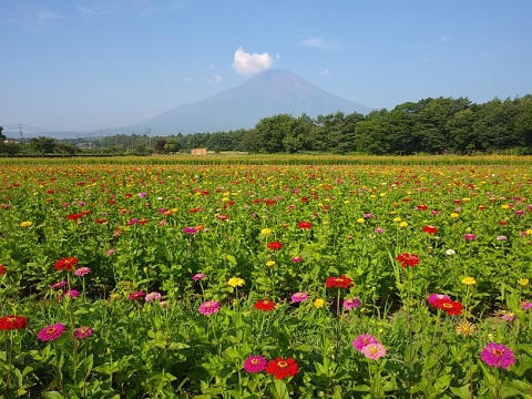 2018/07/18の写真