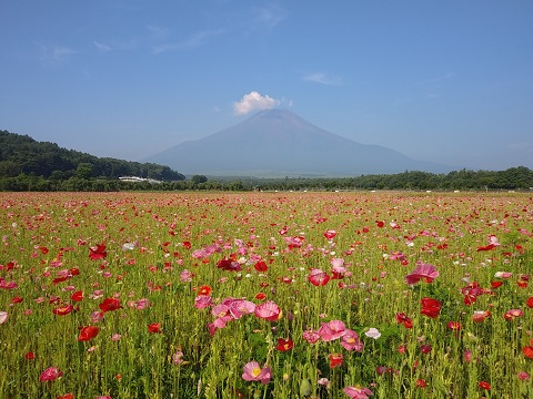 2018/07/18の写真