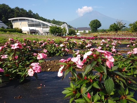 2018/07/18の写真