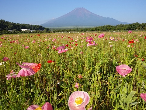 2018/07/21の写真