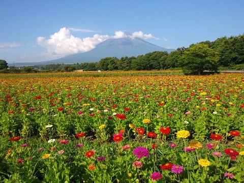 2018/08/01の写真