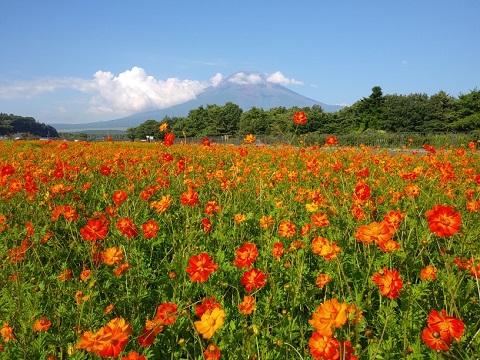 2018/08/01の写真