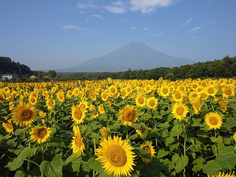 2018/08/06の写真