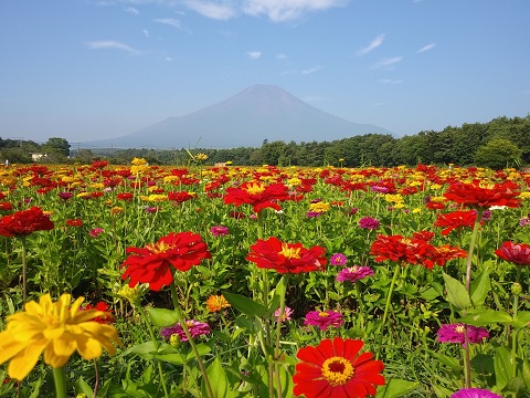 2018/08/06の写真