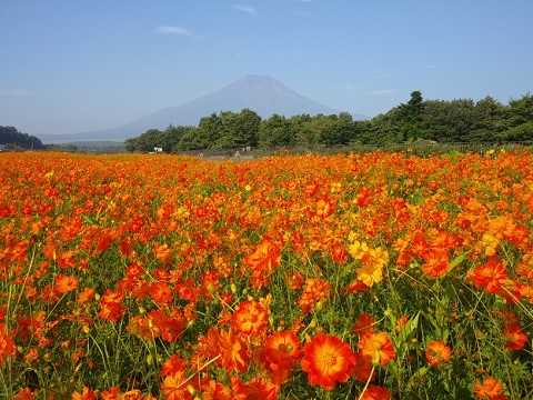 2018/08/06の写真