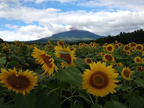 2018/08/09の写真