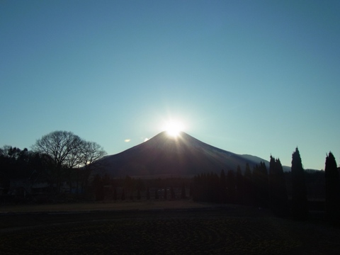 2012/01/13の写真