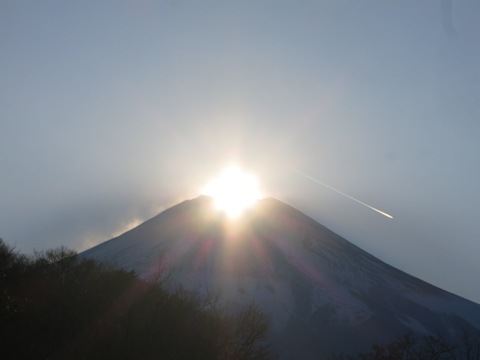 2015/11/30の写真