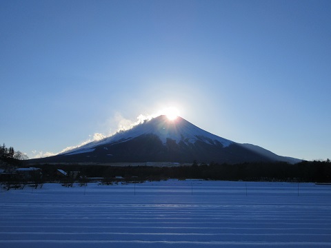 2017/01/12の写真