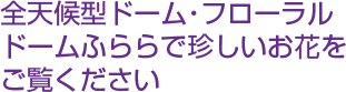 全天候型ドーム・フローラルドームふららで珍しいお花をご覧ください